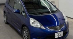 2010 Honda Fit AWD
